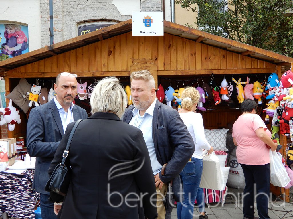 Helyi Értékek Startja 29